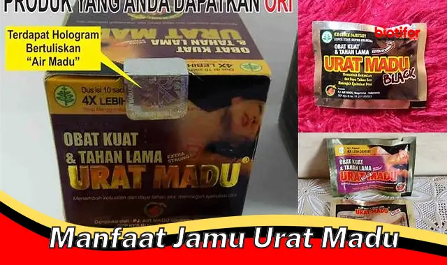 manfaat jamu urat madu