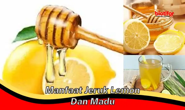 Temukan 5 Manfaat Jeruk Lemon dan Madu yang Jarang Diketahui