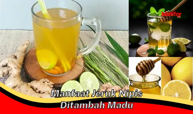 manfaat jeruk nipis ditambah madu