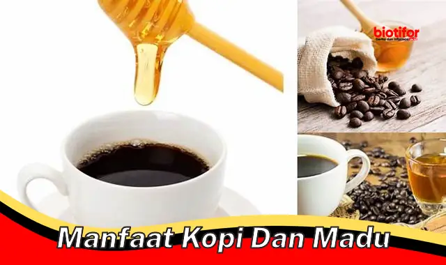 manfaat kopi dan madu