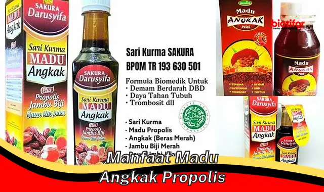 manfaat madu angkak propolis