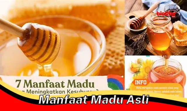 manfaat madu asli