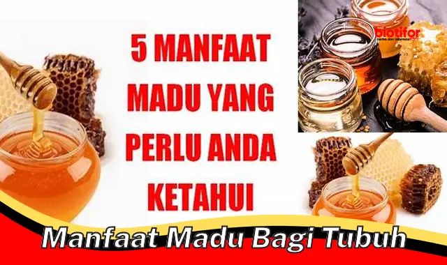 Temukan 5 Khasiat Madu yang Jarang Diketahui Bagi Tubuh