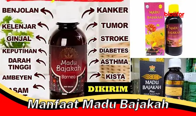 manfaat madu bajakah