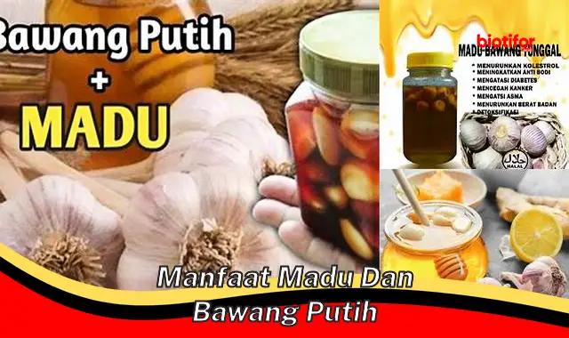 manfaat madu dan bawang putih