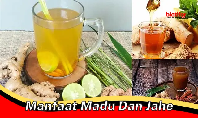 manfaat madu dan jahe