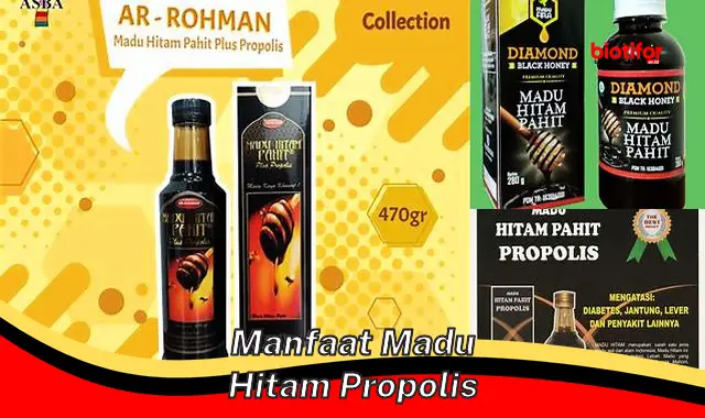 manfaat madu hitam propolis