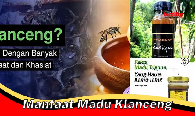 manfaat madu klanceng