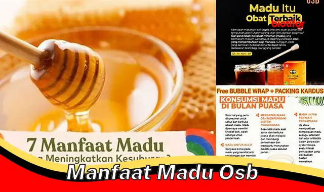 Temukan Manfaat Madu Osb yang Jarang Diketahui