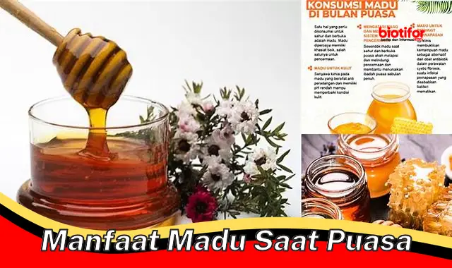 manfaat madu saat puasa