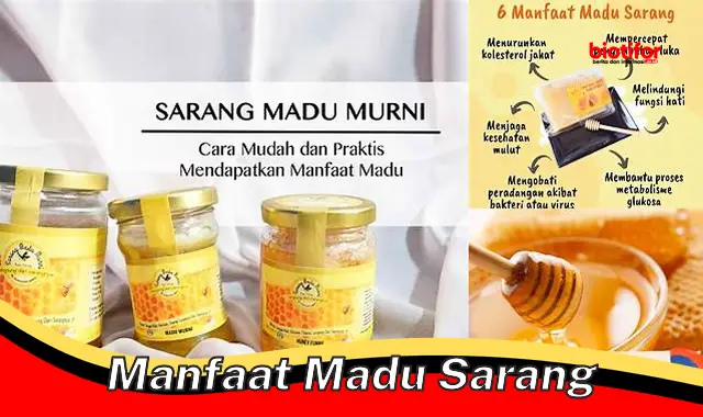 manfaat madu sarang