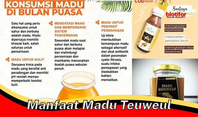 manfaat madu teuweul