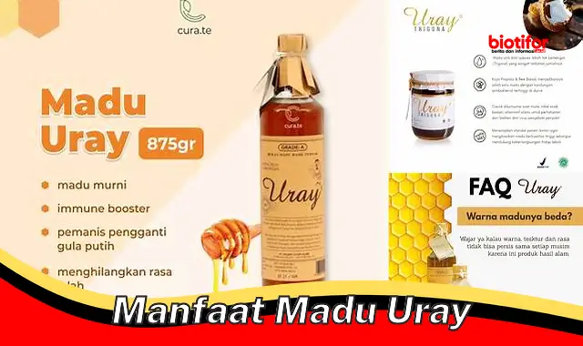 manfaat madu uray