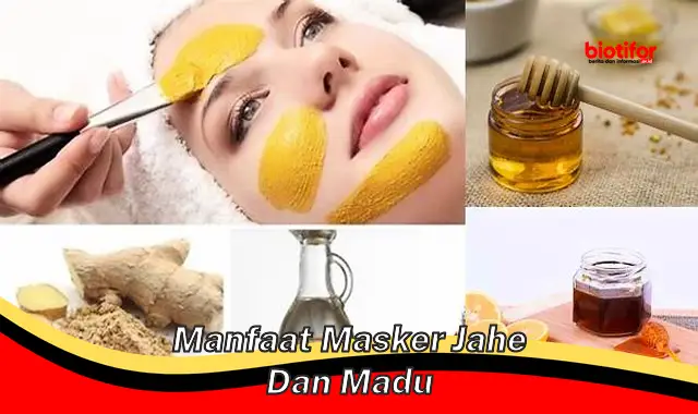 manfaat masker jahe dan madu