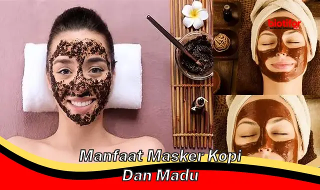 manfaat masker kopi dan madu