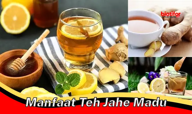 manfaat teh jahe madu