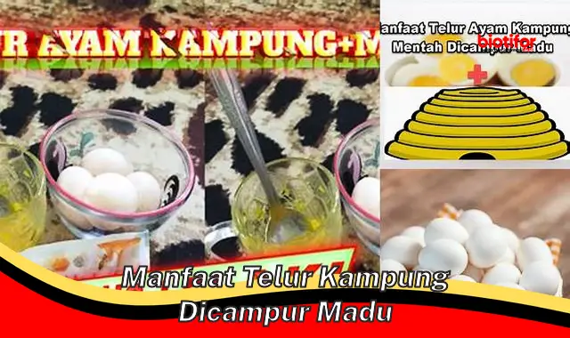 manfaat telur kampung dicampur madu