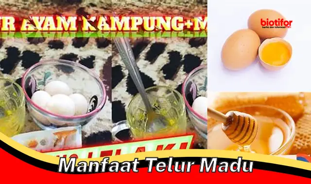 manfaat telur madu