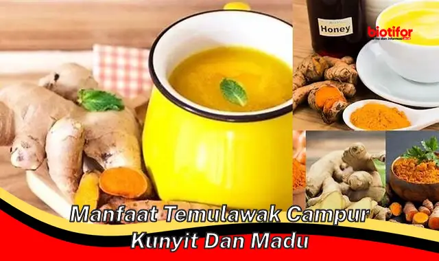 Temukan Khasiat Temulawak + Kunyit + Madu yang Jarang Diketahui