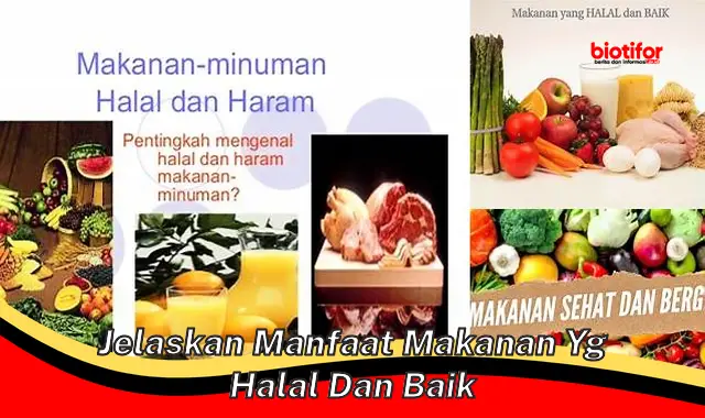 jelaskan manfaat makanan yg halal dan baik