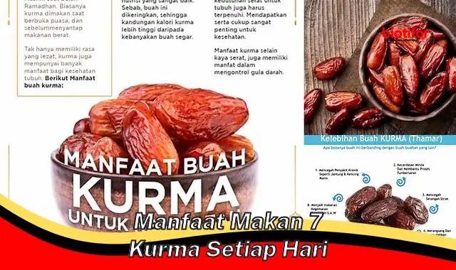 manfaat makan 7 kurma setiap hari