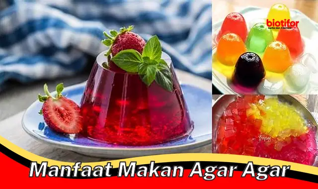 manfaat makan agar agar