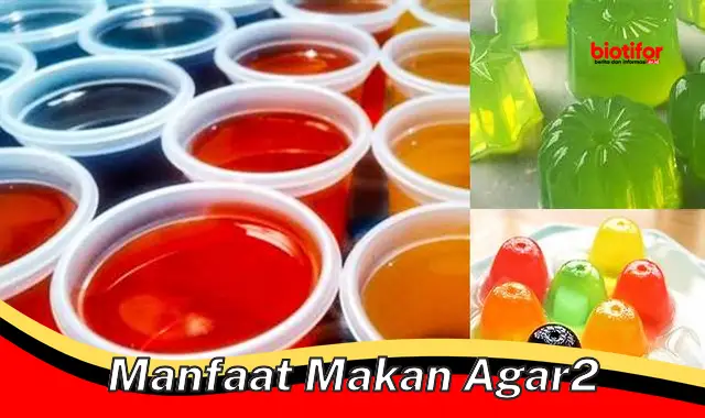 manfaat makan agar2