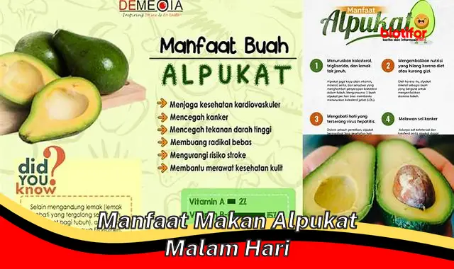 manfaat makan alpukat malam hari