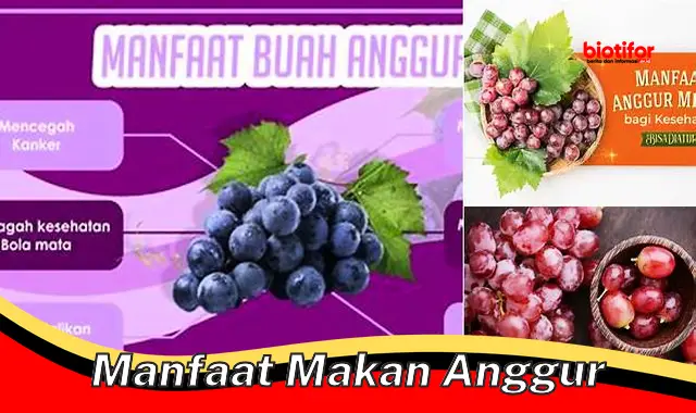 manfaat makan anggur