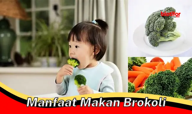 Temukan 5 Manfaat Makan Brokoli yang Jarang Diketahui