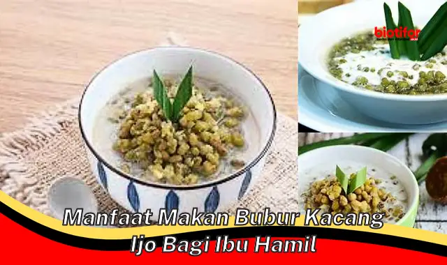 manfaat makan bubur kacang ijo bagi ibu hamil