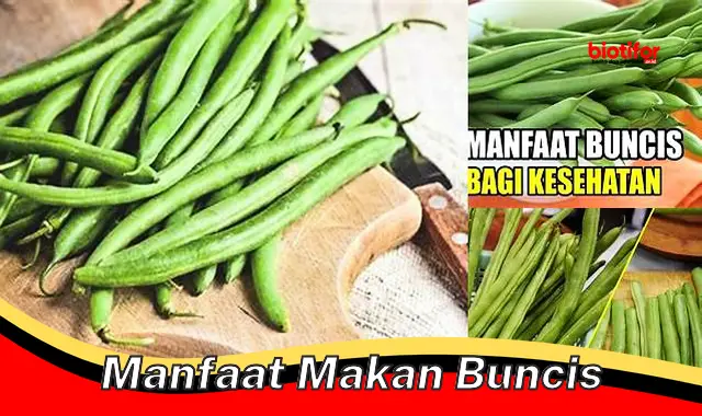 manfaat makan buncis