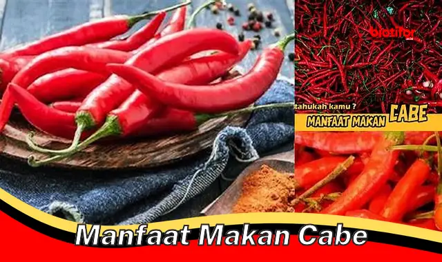 manfaat makan cabe