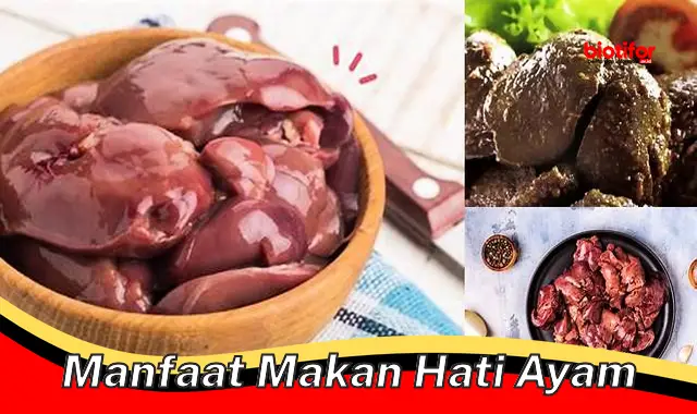 manfaat makan hati ayam