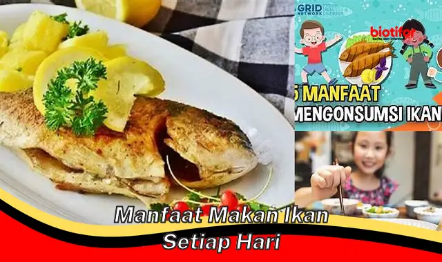 manfaat makan ikan setiap hari