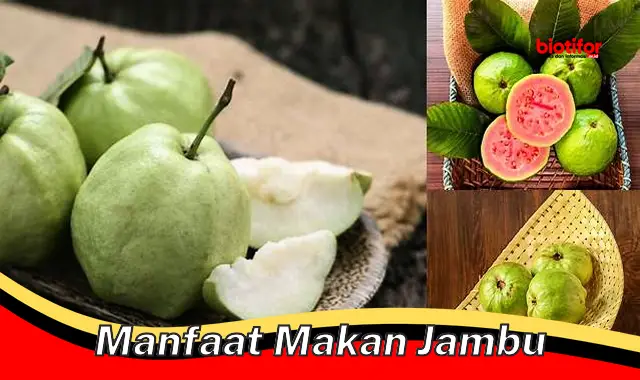 manfaat makan jambu