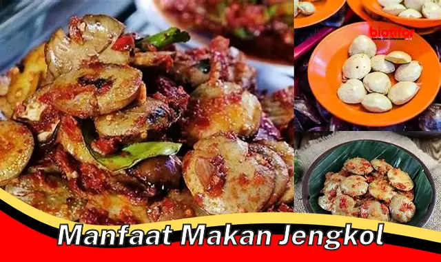 manfaat makan jengkol