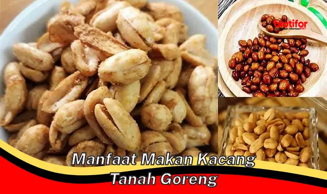 manfaat makan kacang tanah goreng