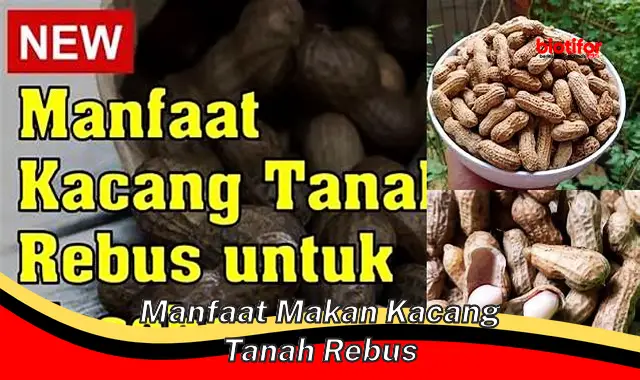 Temukan Khasiat Makan Kacang Tanah Rebus yang Belum Banyak Diketahui