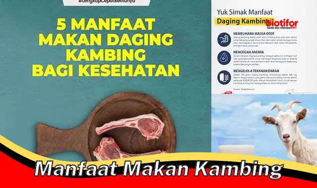 manfaat makan kambing