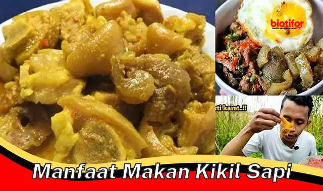 manfaat makan kikil sapi