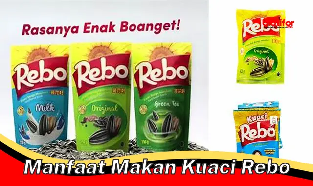 manfaat makan kuaci rebo