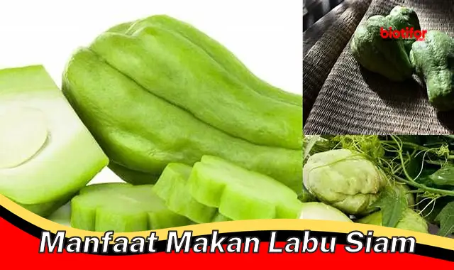 manfaat makan labu siam