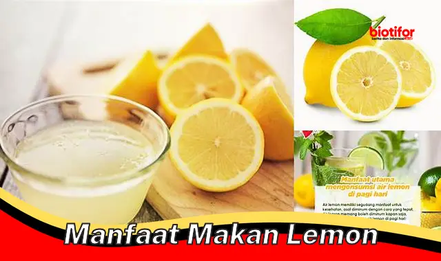 Temukan Manfaat Makan Lemon yang Jarang Diketahui