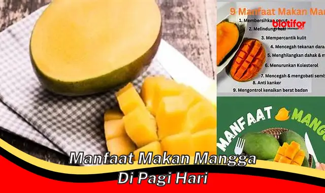 manfaat makan mangga di pagi hari