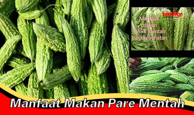 manfaat makan pare mentah