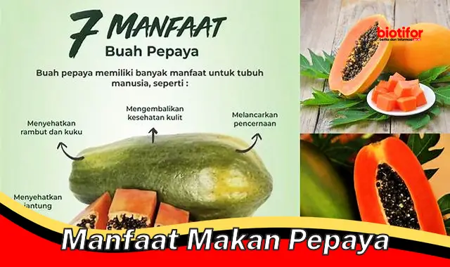 manfaat makan pepaya