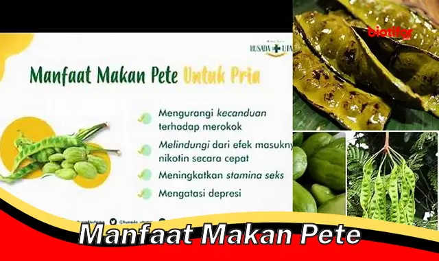 manfaat makan pete