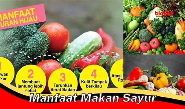 manfaat makan sayur