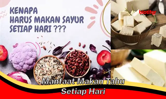 Temukan Rahasia Dibalik Manfaat Makan Tahu Tiap Hari Yang Jarang